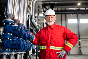 Senior industrial worker smiling in factory setting