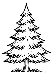 Hand drawn line art illustration of an evergreen tree depicting its natural beauty for outdoor themes