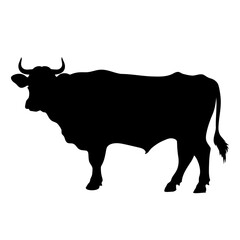 Detailed black silhouette of a bull or cow standing in profile. Horns and muscular build clearly visible. Pictogram of a farm or animal. Vector illustration.