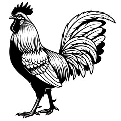 Rooster Vector Illustration Poultry Farm Animal Graphic Design Black and White Art
