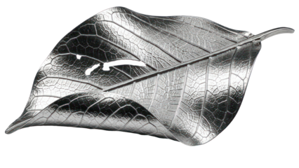 Silver leaf shape decorative dish isolated on transparent background
