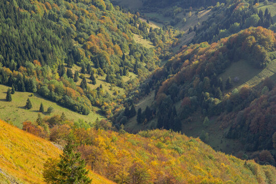 Aerial view of a vibrant tapestry of autumn hues blanketing the rolling hills and dense forests of Ziare, Velka Fatra, Zilina Region, Slovakia.