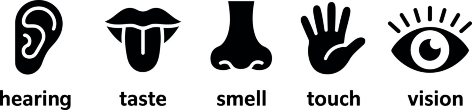 Human senses icons representing hearing taste smell touch vision