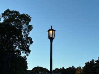 皇居外苑外灯照明