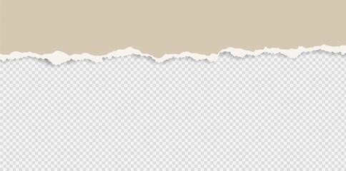 Ripped paper background with rough torn edge isolated on transparent background. Minimal paper texture ideal for mockups, headers, posters, branding, and editorial design