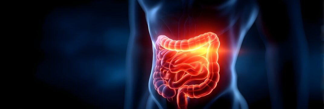Abdominal pain concept, 3D x-ray illustration of stomach bowel inflammation with stomach, pain, bowel, pain, inflammation, ache, abdominal
