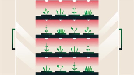 Vertical farming system with indoor plants, modern agriculture flat illustration for sustainable food and hydroponic farming concepts