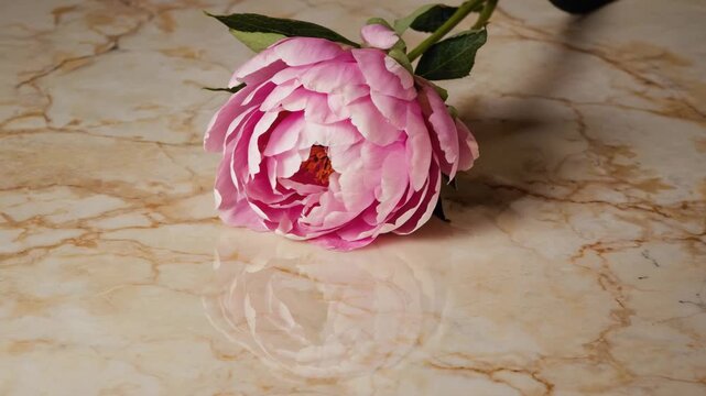 camera rounds the flower as the petals of flower sway and wave with wind 4K
