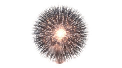 Sparkling Firework Burst Isolated on Transparent Background