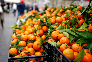 Mandarins Are On Display