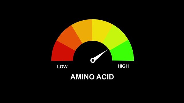 Gradient scale Amino acids level measuring device icon. Sign tachometer, speedometer, indicators. Infographic gauge element.Animated Amino Acid Level Gauge. Motion graphics of alert meter 4k