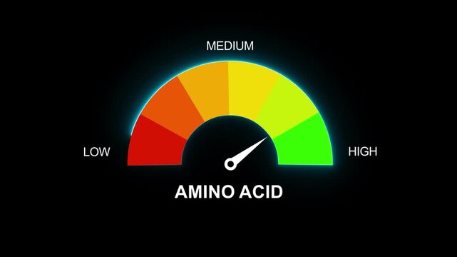 Gradient scale Amino acids level measuring device icon. Sign tachometer, speedometer, indicators. Infographic gauge element.Animated Amino Acid Level Gauge. Motion graphics of alert meter 4k