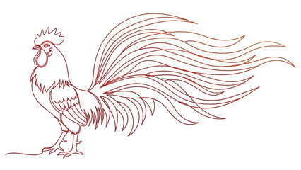 red rooster with long feathers standing proudly © Ahmad