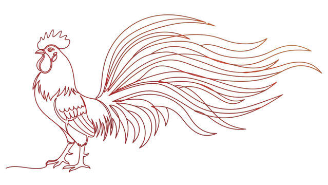 red rooster with long feathers standing proudly