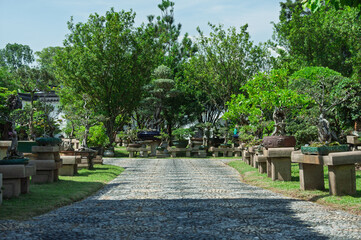 Classic bonsai garden scene with pruned miniature trees, decorative pots and landscape scenery,...