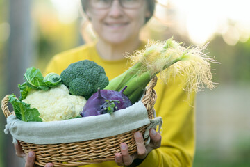 Portrait of woman farmer smiling with basket of broccoli, cauliflower, kohlrabi and corn. Autumn vegetables harvest, farm produce, healthy food, agronomist lifestyle, fiber rich organic diet.
