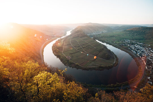 Breathtaking Moselle River Loop at Sunrise, Panoramic Vineyard Landscape in Golden Summer Morning Light