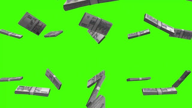 Czech Koruna banknotes falling on green screen, CZK currency rain