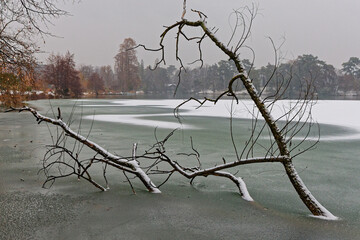 Snow on the trees and the lake of Parc de la Tete d'Or in Lyon, France