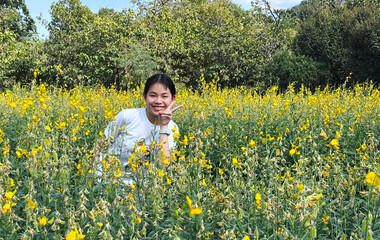 Joyful Asian Preteen Portrait in a Blooming Field