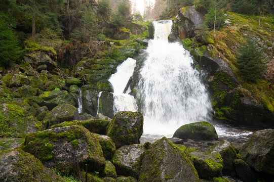 Triberg waterfall of Black Forest, highest fall in Germany, Gutach river plunges over seven major steps into the valley, summer season at sunset