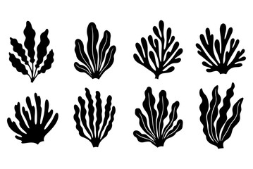 Set of black seaweed and underwater plant silhouettes