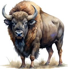 Buffalo Animal Watercolor Vector Illustration &ndash; Wild American Bison