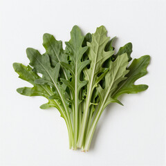 Fresh arugula leaves arranged in a clean, centered composition on a pure white background