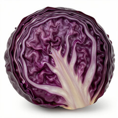 Obraz premium Sharp-focus close-up of a fresh red cabbage cross-section with vibrant purple leaves and pale white core on a pure white background