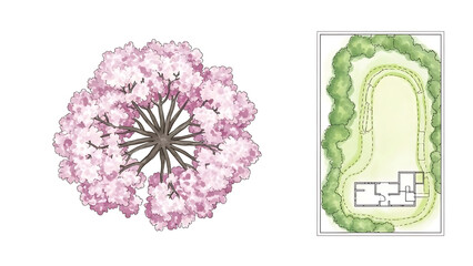 vector illustration of a flower