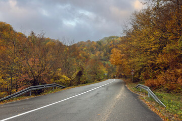 Fototapeta premium Beautiful autumn road in Serbia