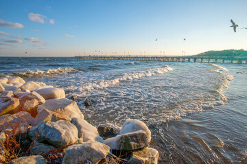 Winter seascape with sea foam on rocky beach and seagulls flying