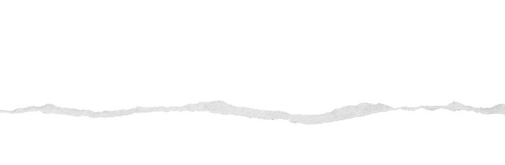 torn paper edges isolated on transparent background.