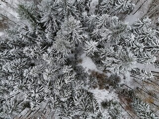 Aerial View of Snow-Covered Winter Forest from Above