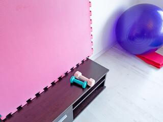 Pink exercise mat and dumbbells in modern home gym