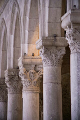 Ancient stone columns inside a medieval temple, featuring Roman colonnade elements, carved antique pillars arranged in rows, showcasing a mix of classical antiquity, Romanesque and Gothic architectura