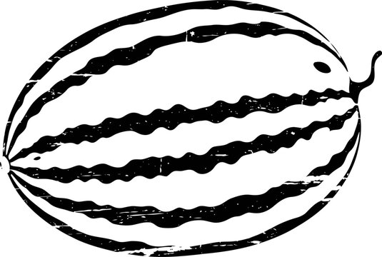 Black and white watermelon illustration with textured stripes and a short curved stem