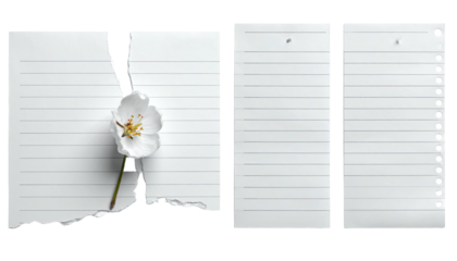 Artistic shot of white flower on torn lined paper with two intact sheets