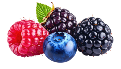 A vibrant arrangement of fresh berries, featuring a red raspberry, a dark blueberry, and two large blackberries. A green leaf adds a touch of natural elegance