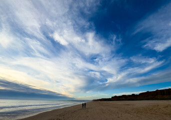 Perfect puffy white clouds in a beautiful blue sky over a gorgeous ocean and sandy beach.
