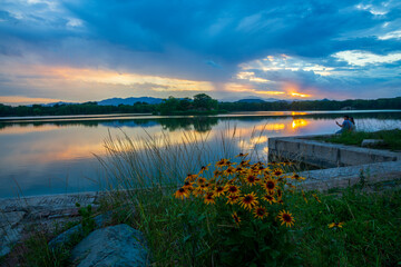 Fuhai sunset glow and wild chrysanthemum landscape at Yuanmingyuan, Beijing, China