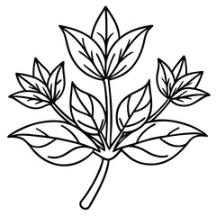 Medicinal Herbs Outline Vector Set &ndash; Minimal Botanical Line Art