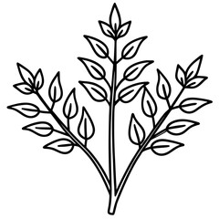 Medicinal Herbs Outline Vector Set &ndash; Minimal Botanical Line Art