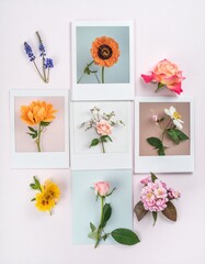  collection of Polaroid-style photos featuring different flowers, including roses, sunflowers, and other colorful blooms, arranged on a soft, neutral background, showcasing the beauty of nature.