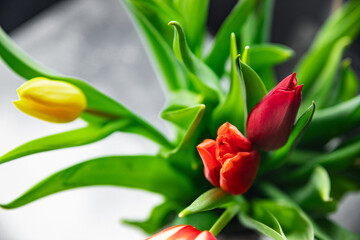 Beautiful tulip flower bouquet on light background