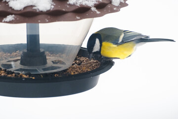 A titmouse eats seeds and bird food from a plastic feeder, against a snowy background, close-up
