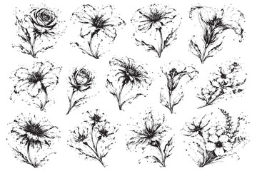 set of black and white flowers