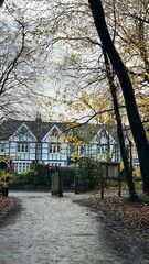 A pathway leads through bare trees toward houses in a neighborhood. The ground is covered in fallen leaves, and the light is soft as it filters through the branches above