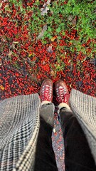 A person stands on a path filled with numerous red berries. The footwear is brown with red laces. The coat is long and falls over the pants, creating a striking visual against the bright ground