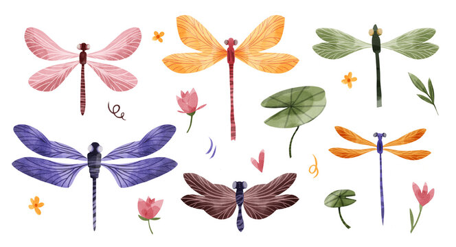 A large set of translucent watercolor dragonflies, water lilies, and flowers. Pastel-colored insect illustrations for baby clothes, fabrics, and paper.